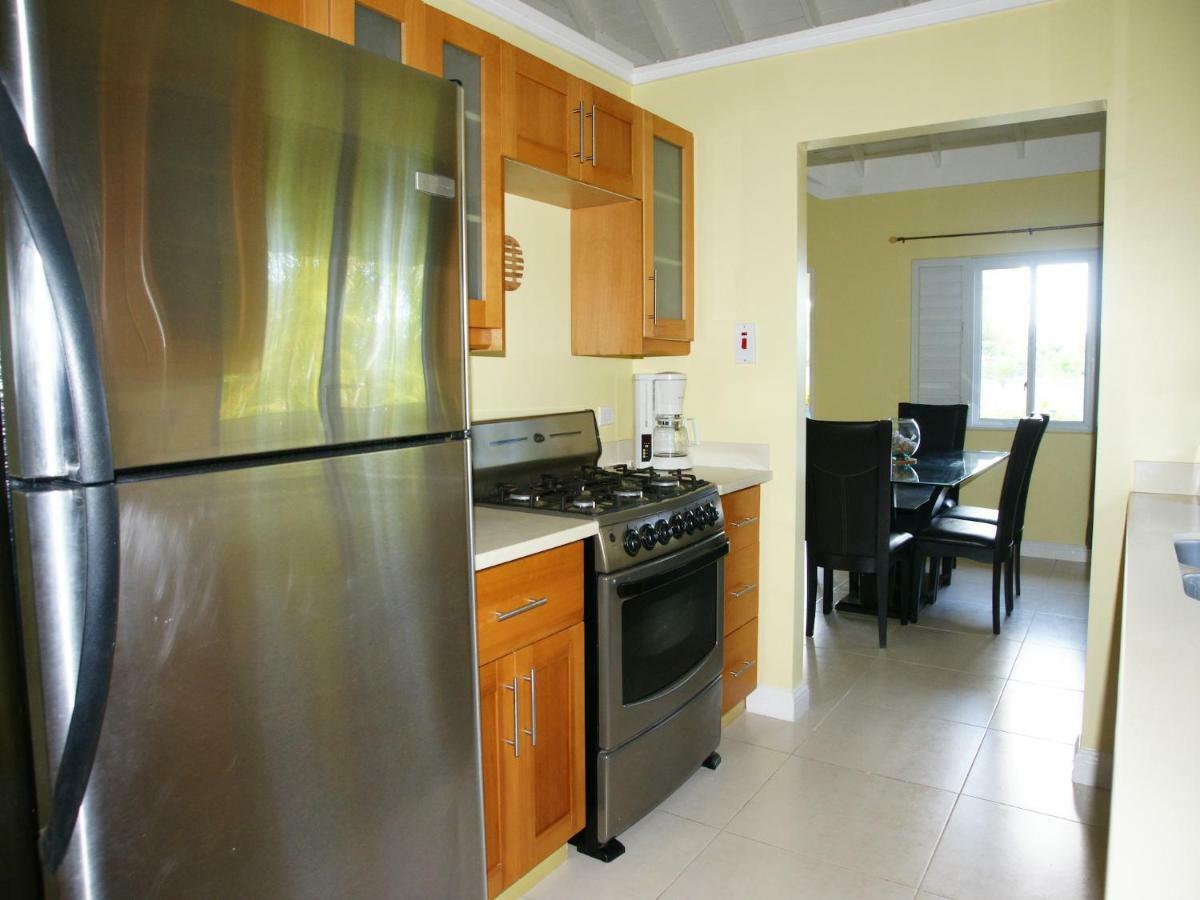 Jamnick Vacation Rentals - Richmond, St Ann, Jamaica 오쵸 리오스 외부 사진